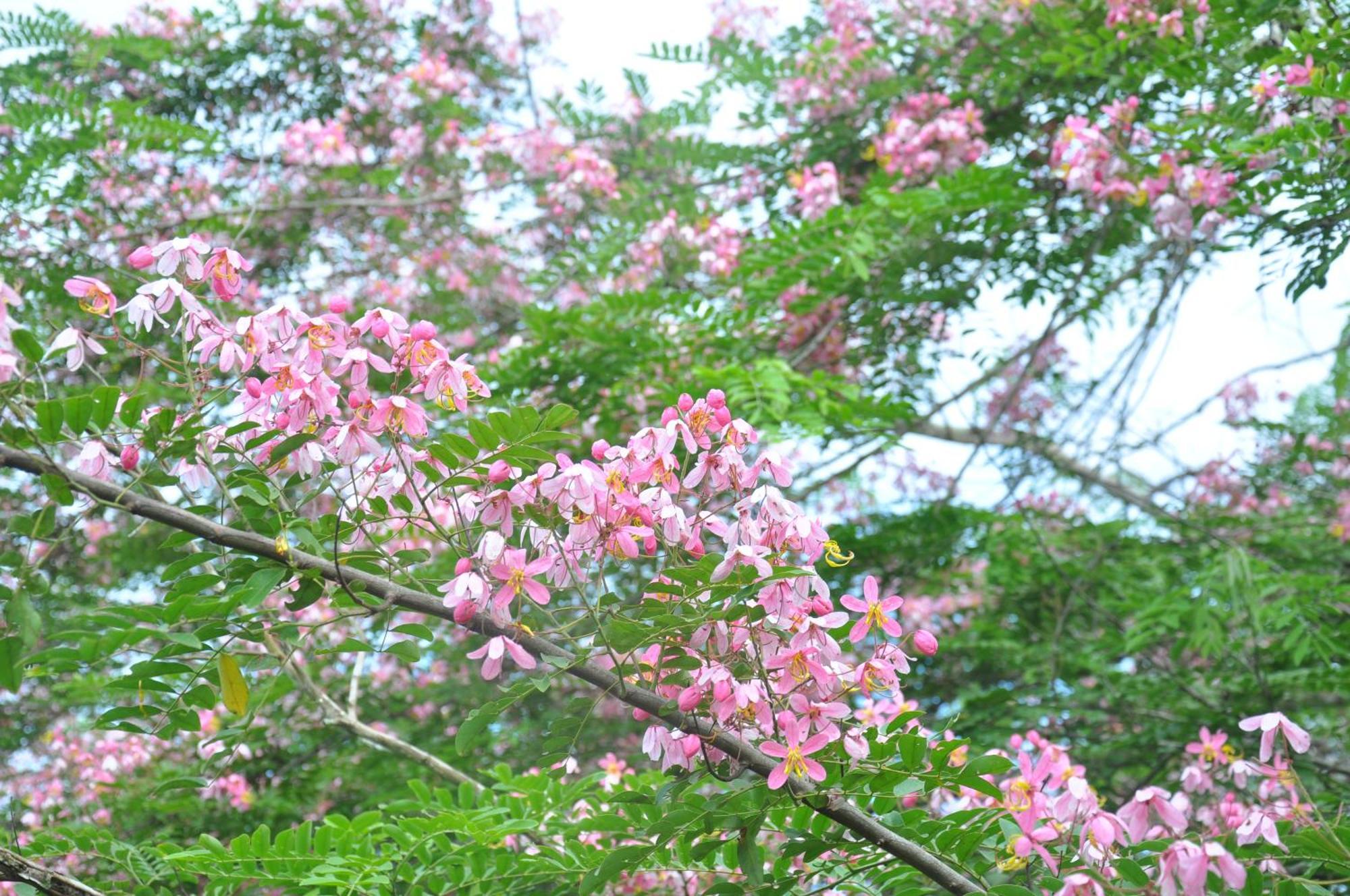 Thuy Tien Ecolodge 캇 티엔 외부 사진